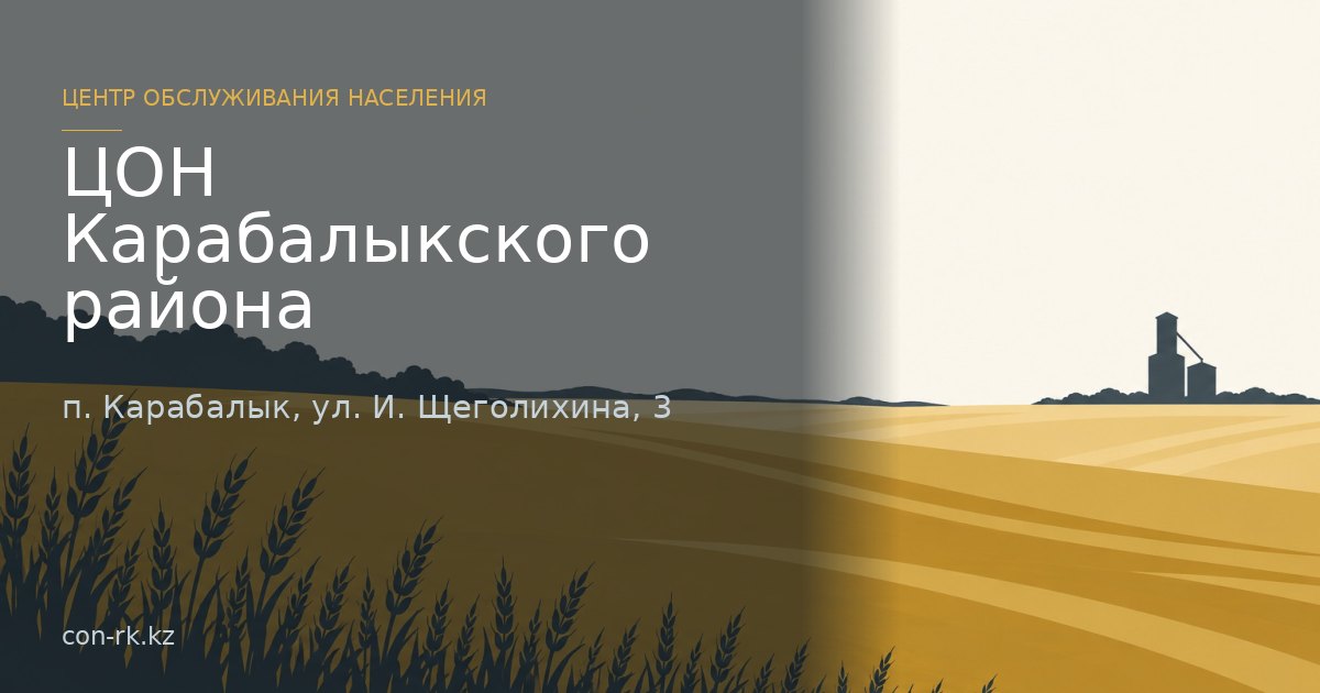 ЦОН Карабалыкского района, п. Карабалык