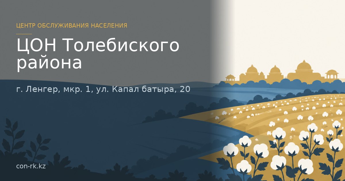 ЦОН Толебиского района, г. Ленгер